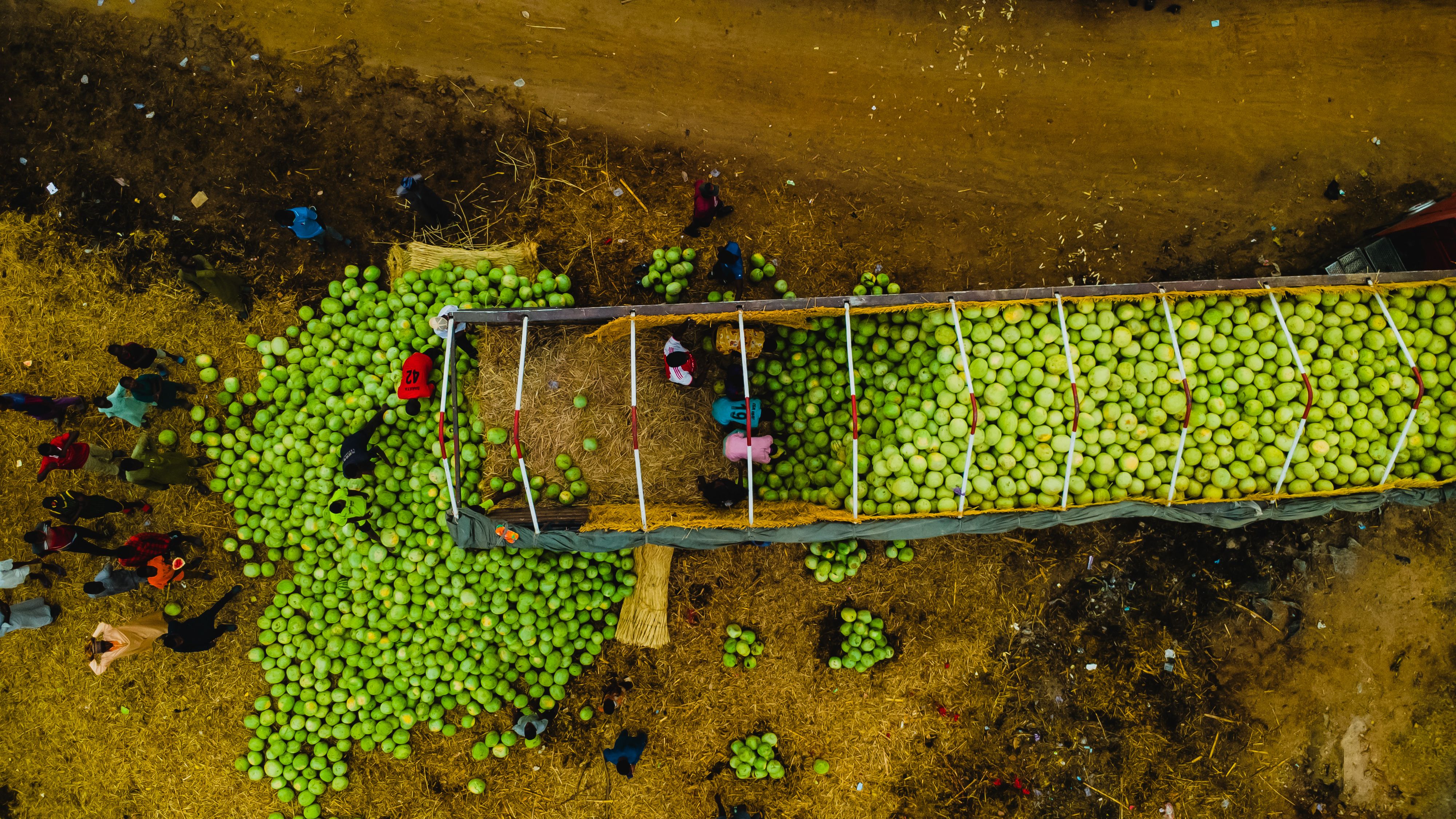 Cold Chain Horticultural Distribution — Iringa
